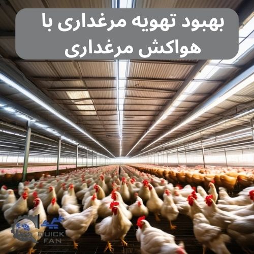 بهبود تهویه مرغداری با هواکش مرغداری